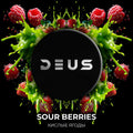 Deus – Sour Berries 200G