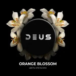 Deus 100gr - SoBe Hookah