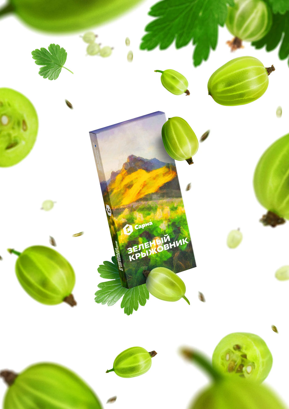 Sarma Gooseberry 100G