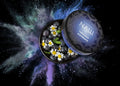 Nash Blueberry Chamomile 200gr