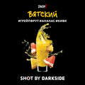 DarkSide Shot Vyatka 125gr