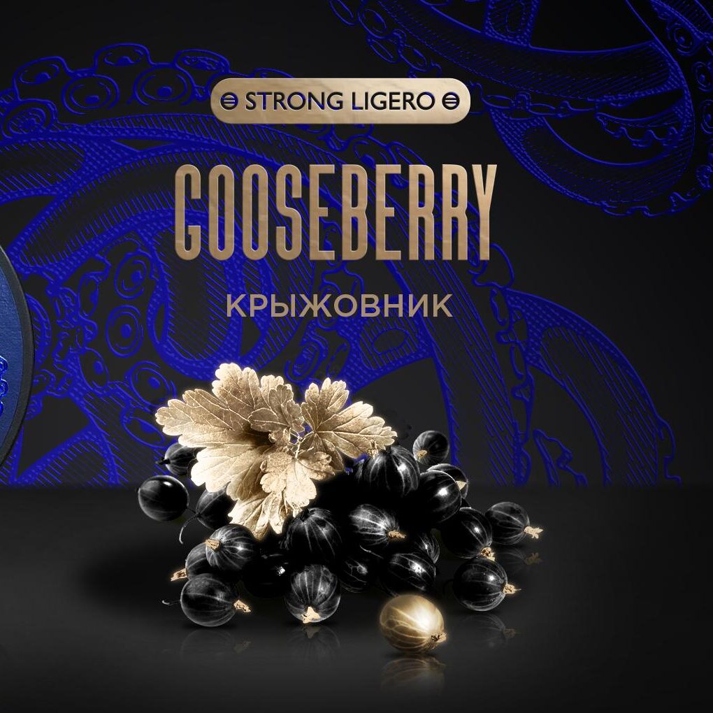 Kraken Gooseberry 30GR (Strong Ligero)