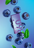Sarma Blueberry Soft 100G