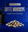 Kraken Coffee Maragogype 100GR (Medium Seco)