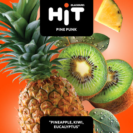 Black Burn HiT – Pine Punk 30G (Pineapple, Kiwi, Eucalyptus)