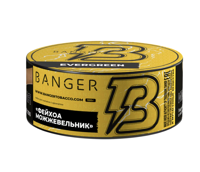 Banger Evergreen Hookah Tobacco 100g