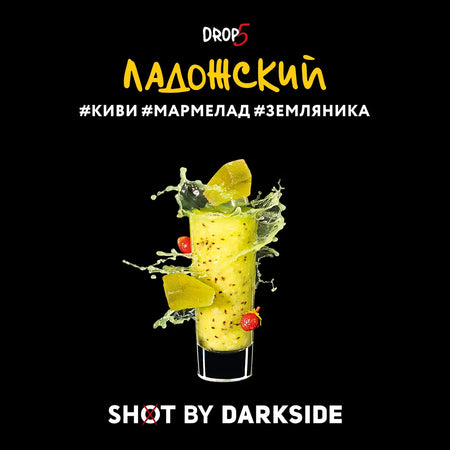 DarkSide Shot Ladozh Vibe 125gr