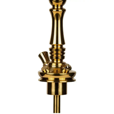Moze Tradi L - Gold - SoBe Hookah