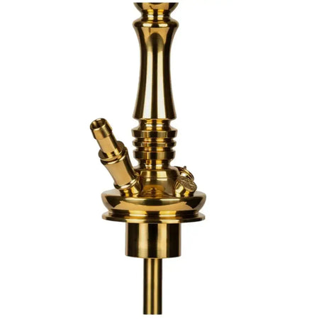 Moze Tradi L - Gold - SoBe Hookah