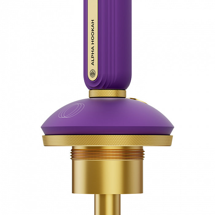 Alpha Hookah Echo Gold Jade Purple